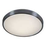 Tron Silver Ceiling Light - 28.5CM