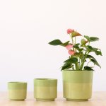 Pastille Planter - Lime - 16CM