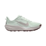 Nike Women's Acg Pegasus Trail Running Shoes