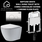 Dalia White Wall Hung Toilet With Cobra Concealed Cistern & Square Flush Plate