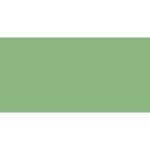 Soft Pastel - Earth Green E4C