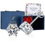 6-PRONG Stud 2CT Moissanite D Color S925 Silver Rose Gift Set