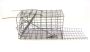 - Humane Mouse Trap /cage Foldable - 21CM X 11.5CM X 10CM