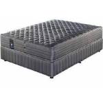 Sealy 152CM Stdl Celebrity Mattress Only