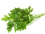 Parsley Flat Leaf 12CM Pot