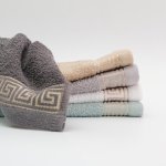 Jacquard Crest Collection Guest Towel - White