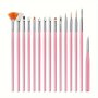 15 Pcs Nail Art Brushes Nail Design Fan Brush And Liner Brushes For Nails Gel Nail Brush Set For Professional Salons And Home Diy