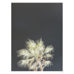 Robusta Art Print - A1