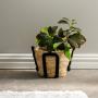 Natural Corn Rope Handle Planter Basket Black - Medium 30X20CM