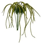 - Veronica - Green Pack Of 12 Stems - 110CM