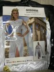 Greek Goddess Costume