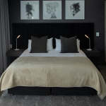 Cotton Suede - Plain Khaki - 230 X 230 Cm Queen