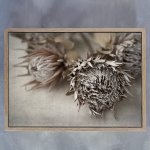 Everlasting 5 Art Print - A3 Framed Canvas With Natural Wood Frame
