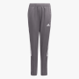 Adidas Boys Track Pants Team Grey - 15-16