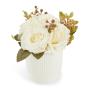 Loads Of Livingwhite Roses In A Pot