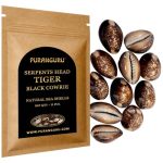 Puranguru Serpents Head Tiger Cowrie Shells 11 Pcs 0.75 To 1 Inch Cypraea Caputserpentis Natural Conch Shellcraft Nautical Beach