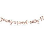 Embhhor Young & Sweet Only 17 Banner 17TH Birthday Party Decorations Dancing Queen 17 Birthday Anniversary Party Supply Rose Gol