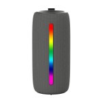 Skyworth BTS2 Portable Bluetooth Speaker With Radio Fm Light Rechargeable