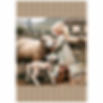 FSC1042 Kitchen Towel