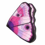 Pink Butterfly Wings