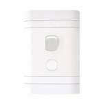 Lesco 2 Pole Flush Isolator Switch With Rectangle Flush