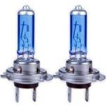 H7 Halogen Globes