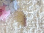 Rhodonite Point Pendulum