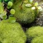 10 Artificial Moss Balls Resin Micro Green Grass Micro Landscape Ideal For Diy Fairy Tale Garden Aquarium And Outdoor Decoration