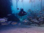 Shore Dive Adventure