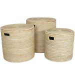 Woven Palm Basket