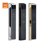 Biometric Smart Door Lock - F029