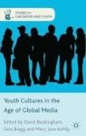 Youth Cultures In The Age Of Global Media Hardcover New