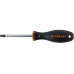 S driver Torx T30 6X100MM Crv With Ergonomic Handle