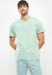 Levi's Graphic Crewneck Tee Mv Logo Ssnl - Mint