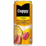 Fruit Juice 300ML Tropical 300 Ml