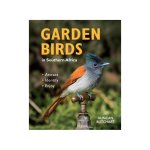 Garden Birds In Southern Africa