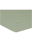 Queen Extra Length Green Fitted Sheet - 152 X 200CM Green