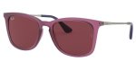 Oakley Gauge 8 Polarized