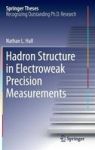 Hadron Structure In Electroweak Precision Measurements Hardcover 1ST Ed. 2016