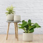 Helia Planter - Concrete - 13CM