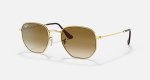 Unisex Hexagonal Sunglasses In Gold - Gold One Size