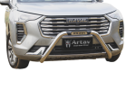 Haval Jolion Stainless Steel Nudge Bar