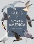 Gulls Of North America   Paperback