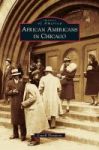 African Americans In Chicago Hardcover