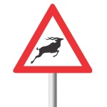 Wild Animals Ahead Road Sign W313