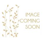 Stinging Nettle Root Glycerite Urtica Dioica Extract - 20ML