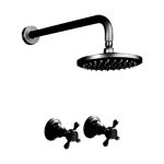 - Shower And Antique Handles Blackened Brass