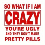 Red Vinyl Iron-on Transfer Decals For Diy T-shirts - "so What If I Am Crazy" - Bold Letter Print Heat Transfer Stickers For Wome