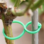 50PCS Pvc Garden Plant Twist Ties Flexible Tomato Vines Clips Durable Adjustable Plant Support Trellis For Climbing Vegetables F