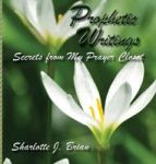 Prophetic Writings Hardcover